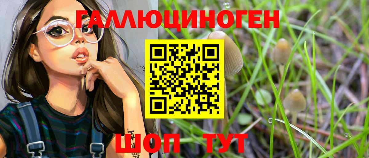 Псилоцибиновые грибы мухоморы Междуреченск